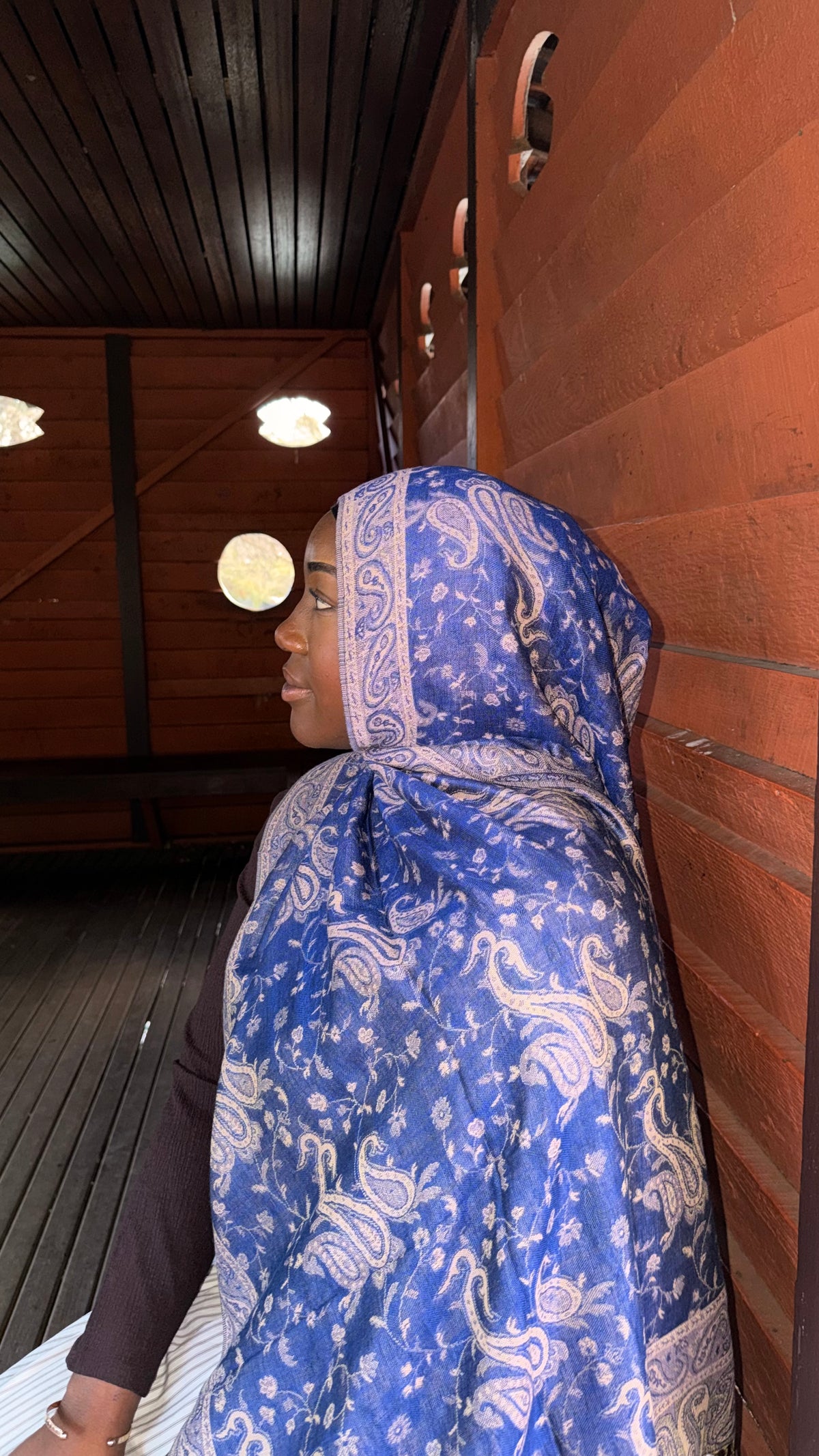 Deep Toned Pashmina