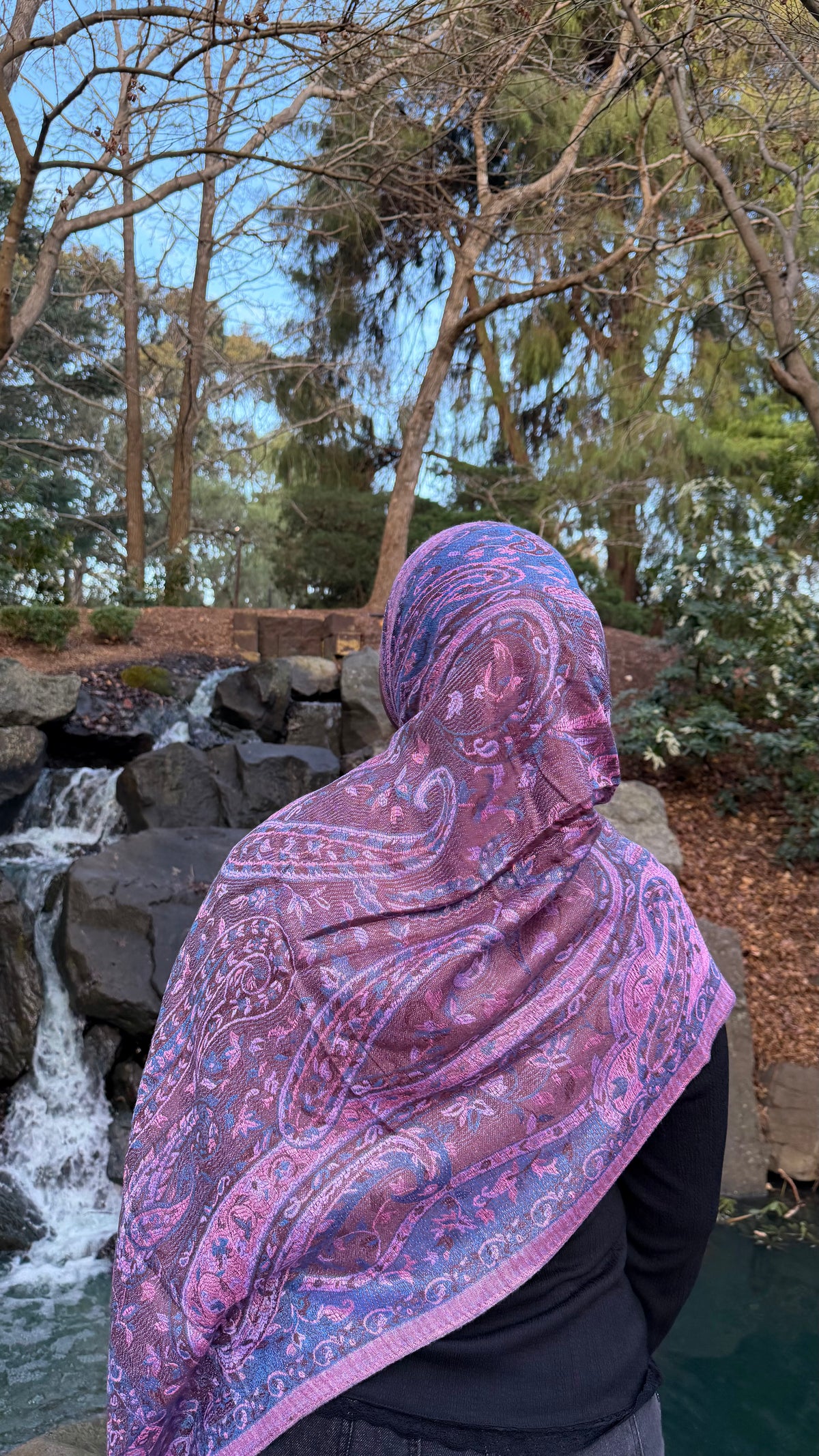 Deep Toned Pashmina