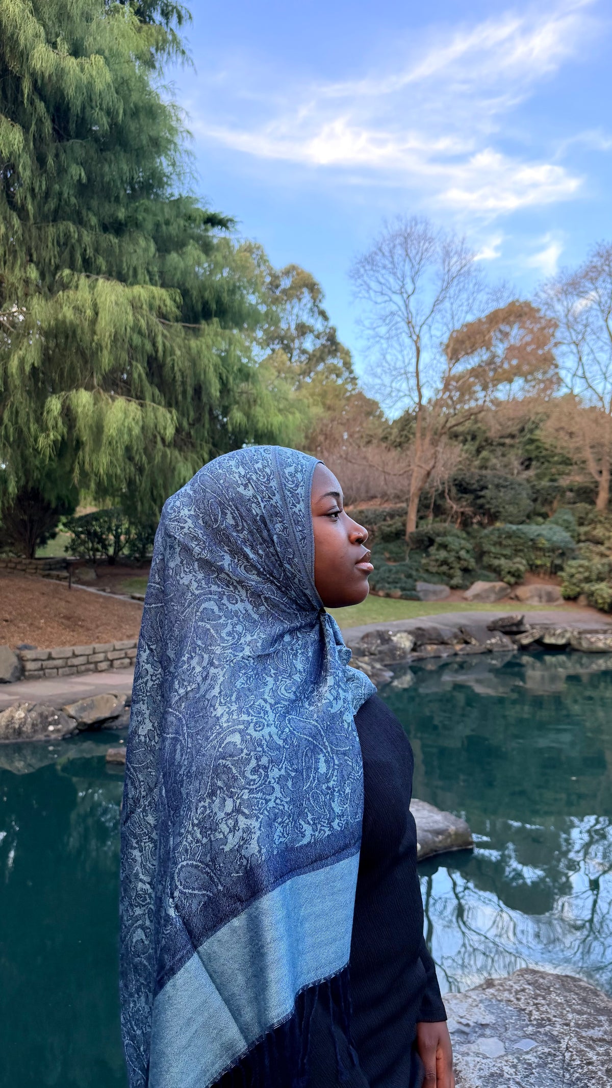 One Tone Pashminas