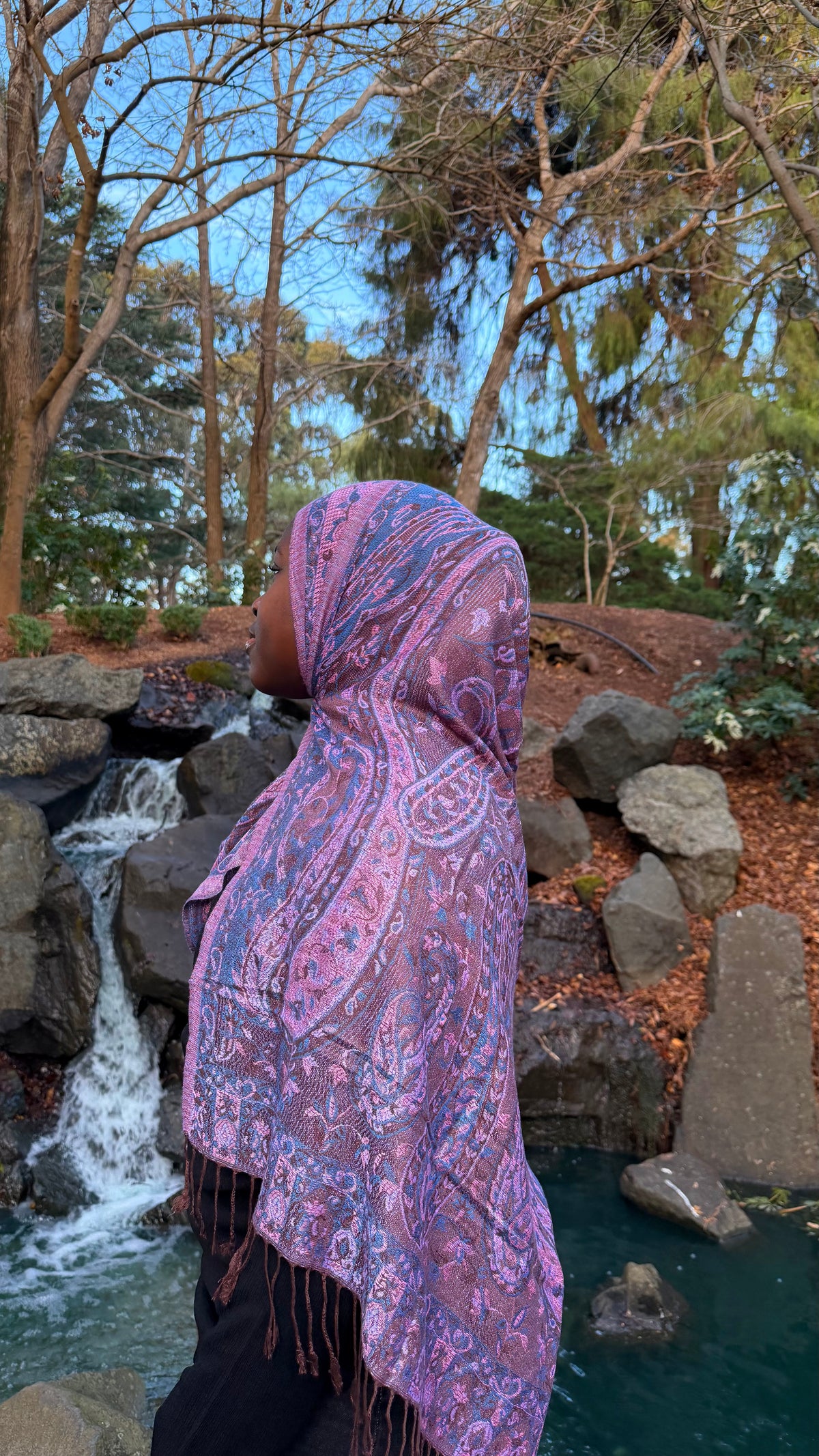 Deep Toned Pashmina
