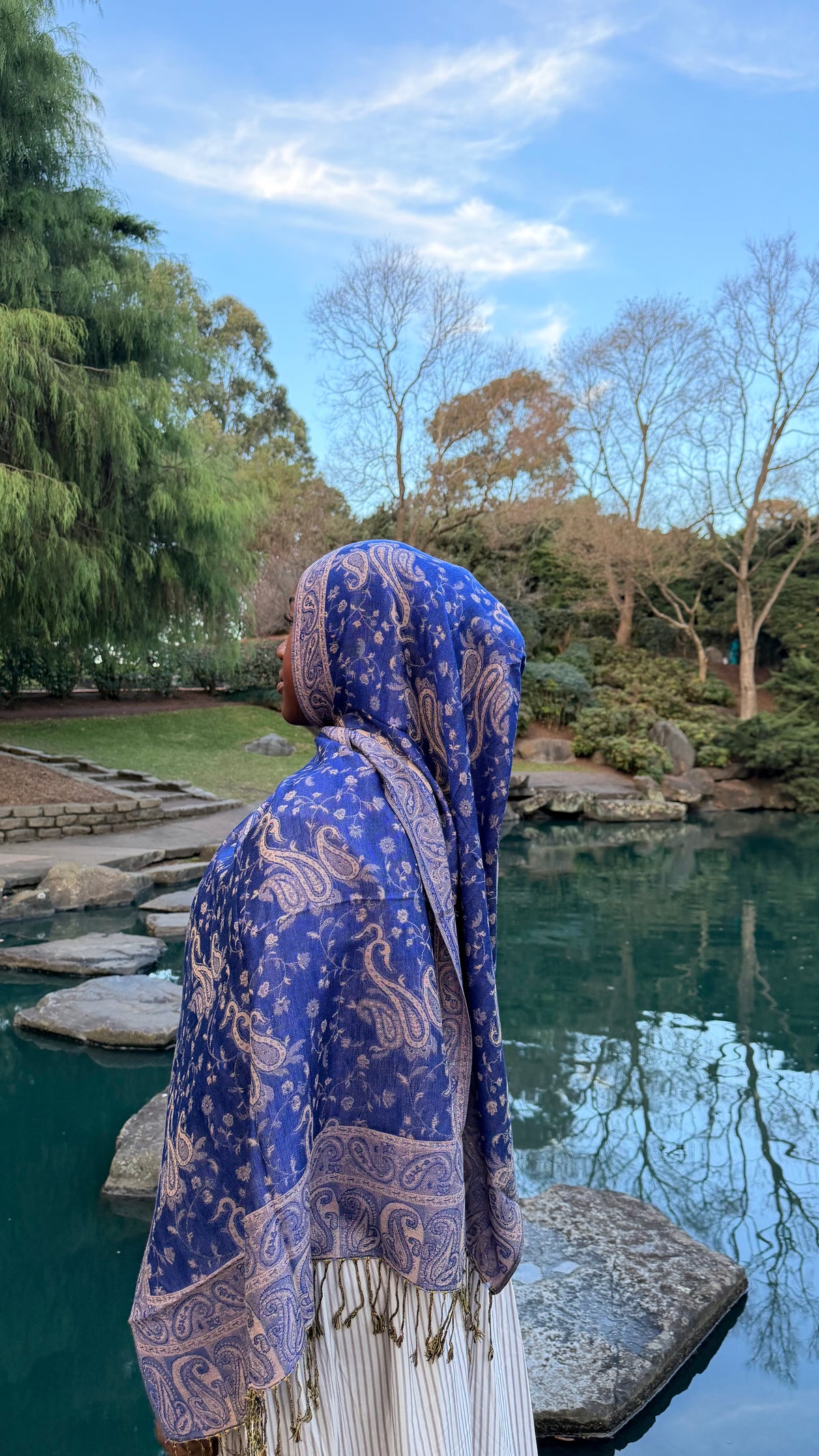 Deep Toned Pashmina