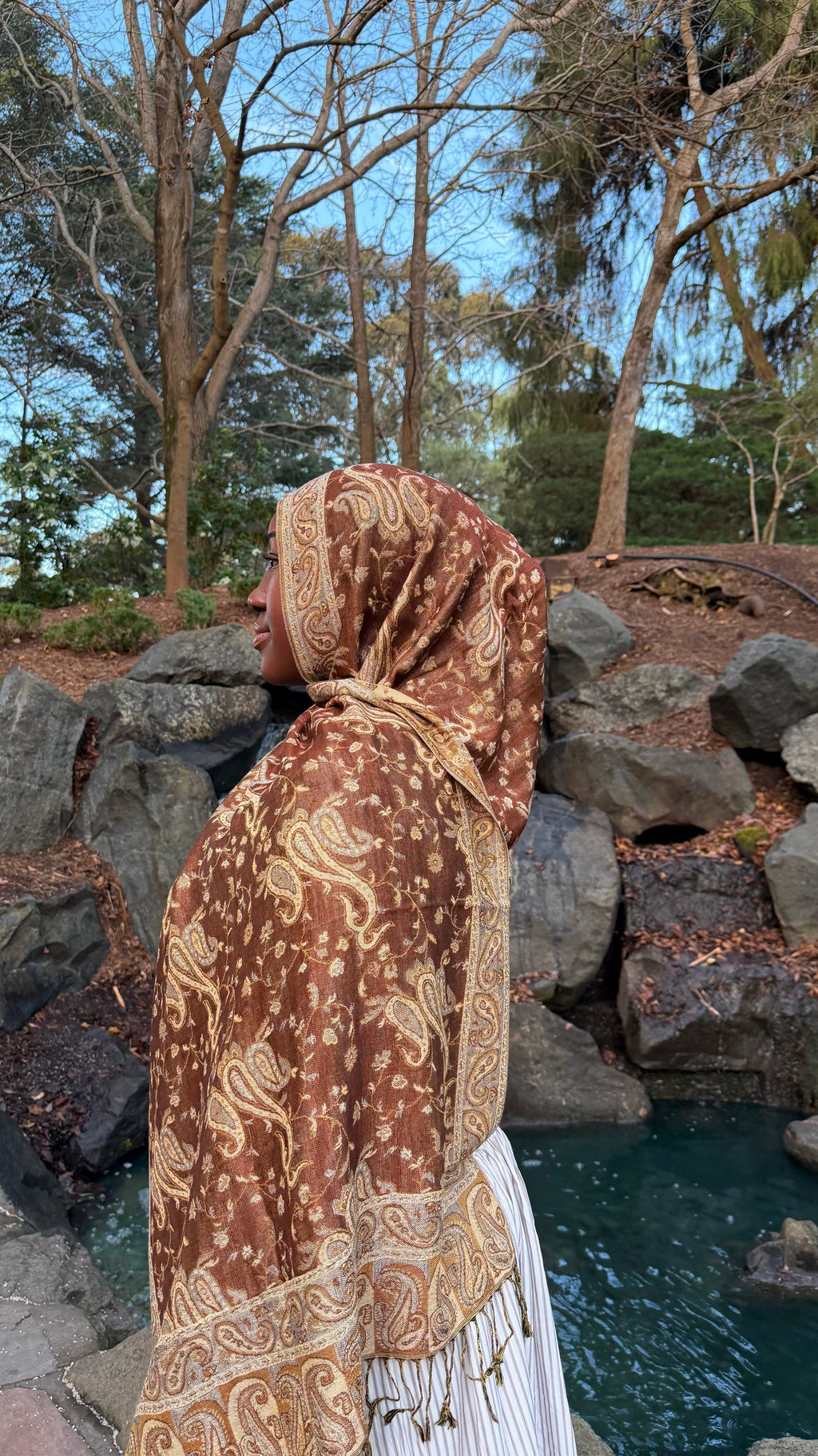 Deep Toned Pashmina