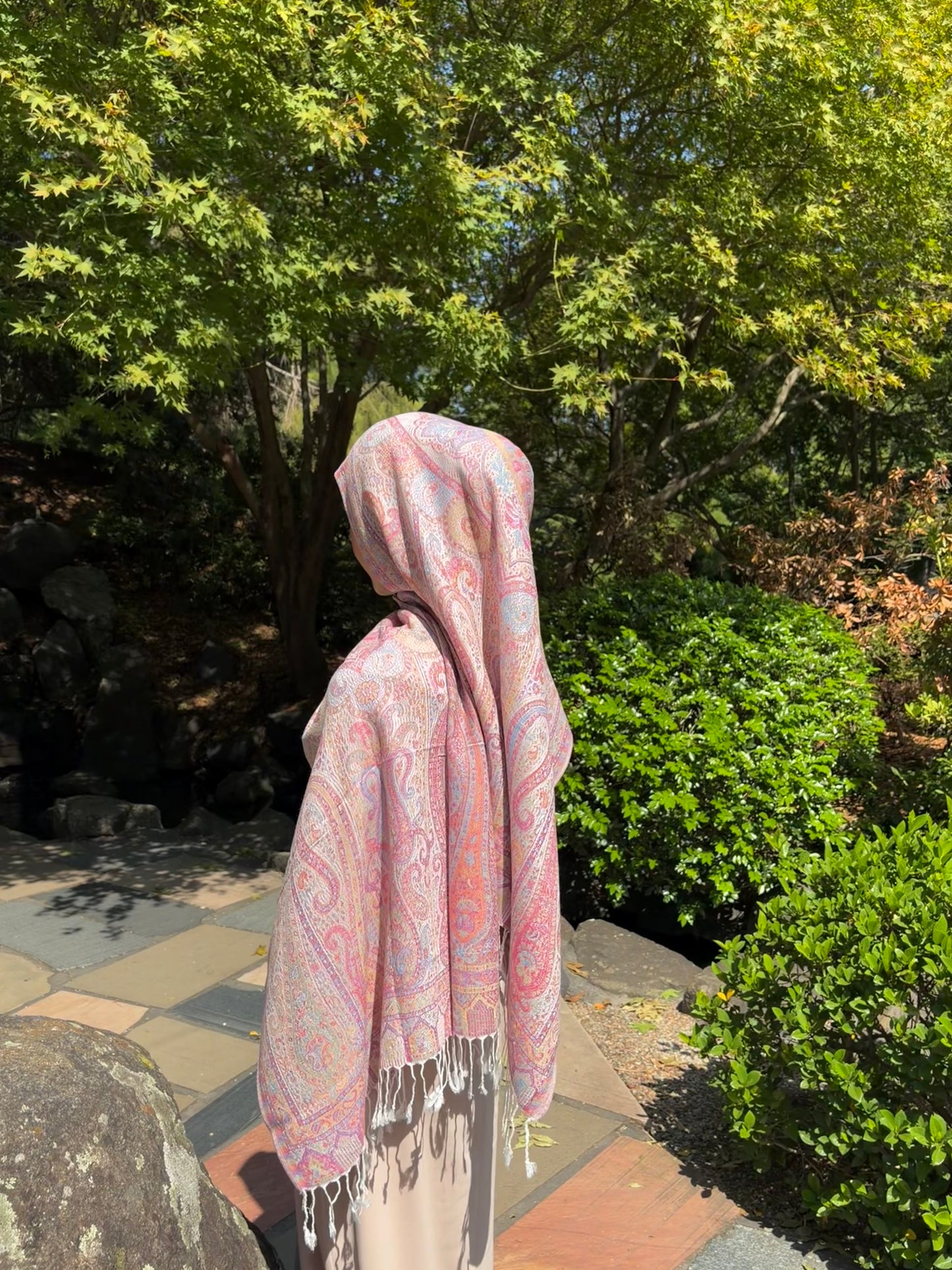 Pink Pashmina