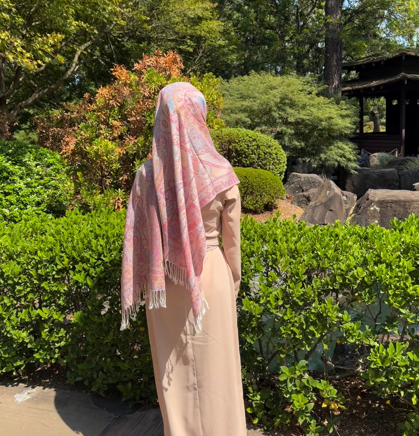 Pink Pashmina