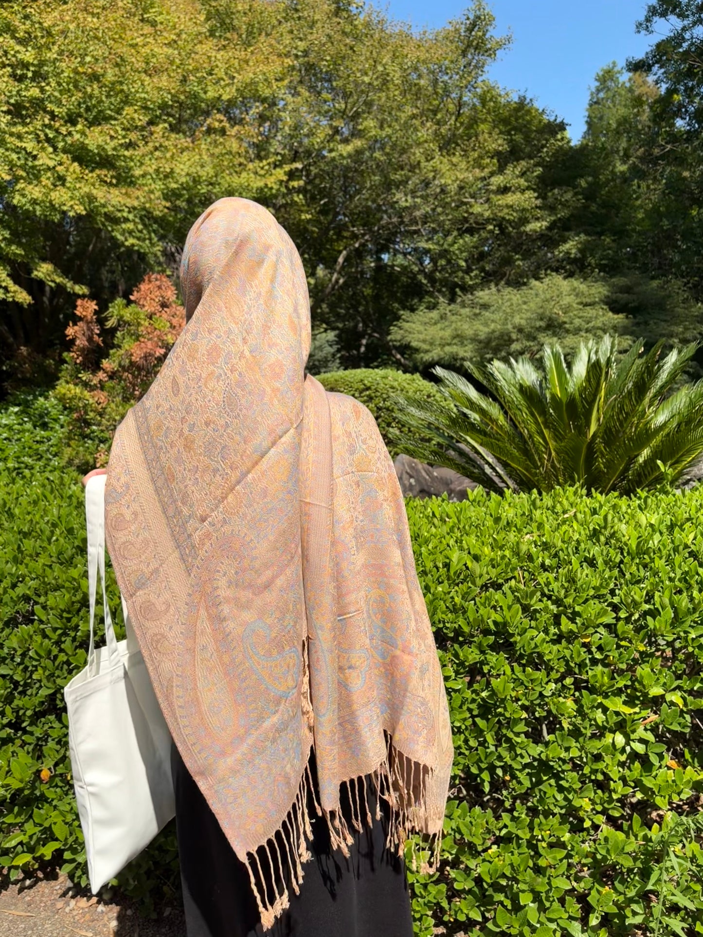 Camel Pashmina