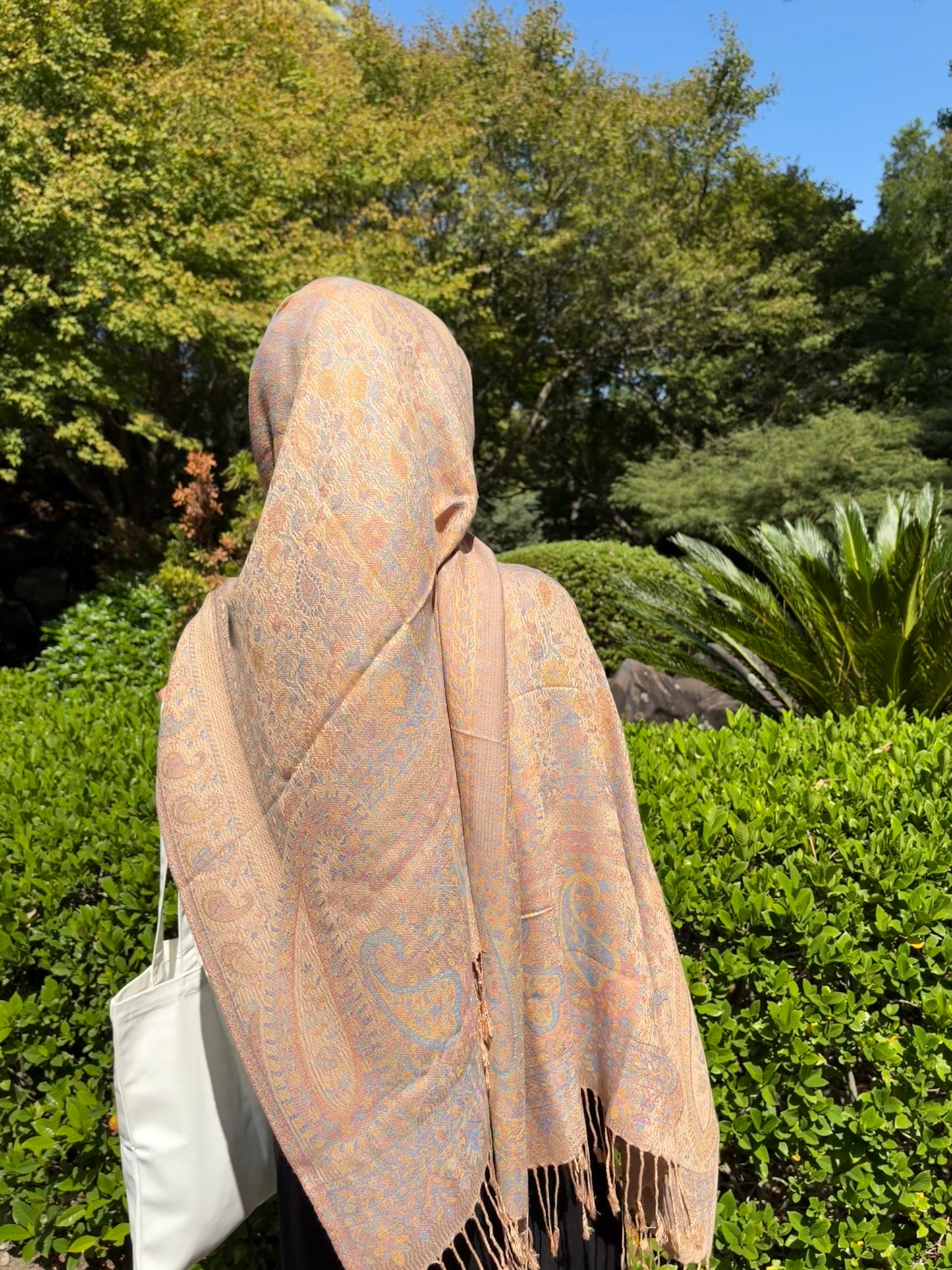 Camel Pashmina