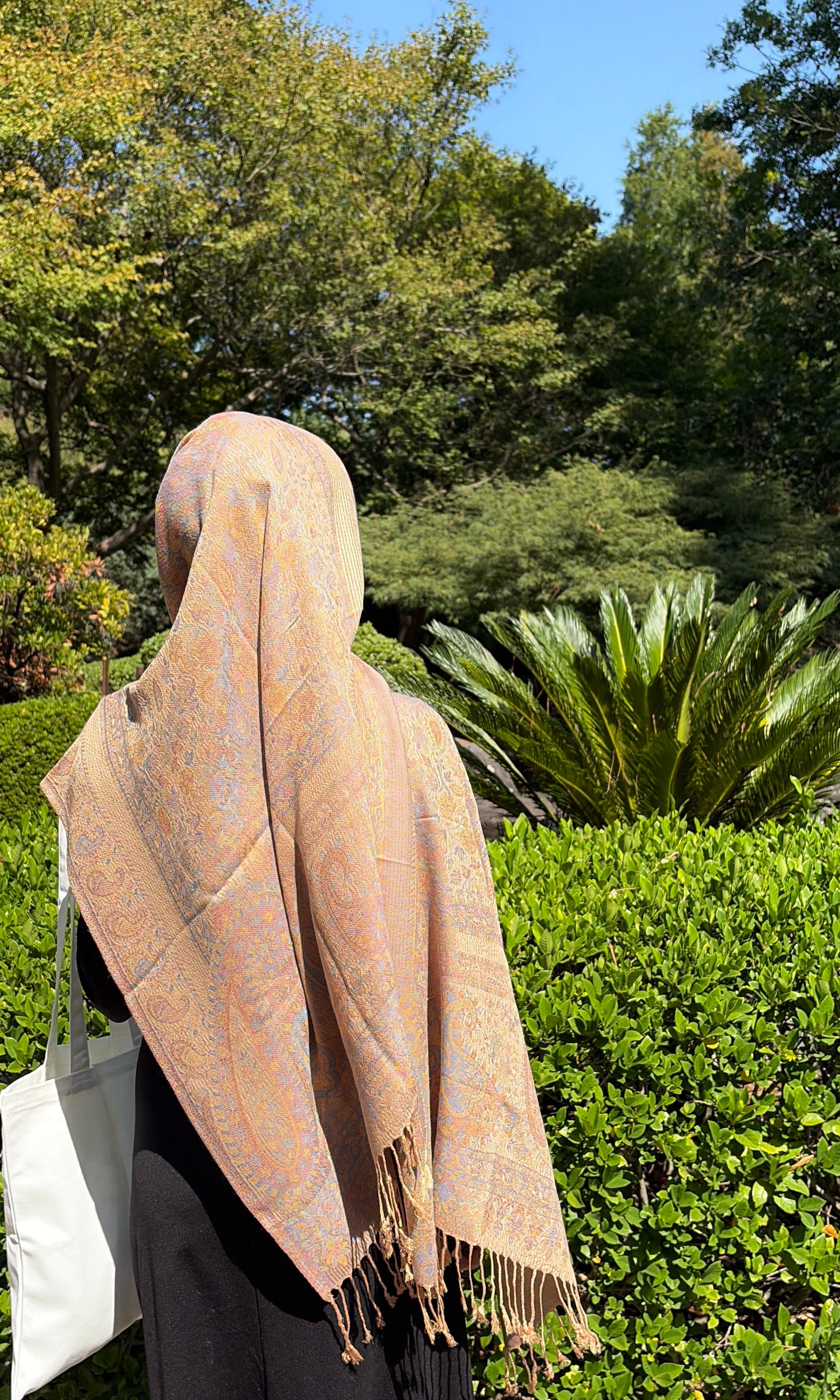 Camel Pashmina