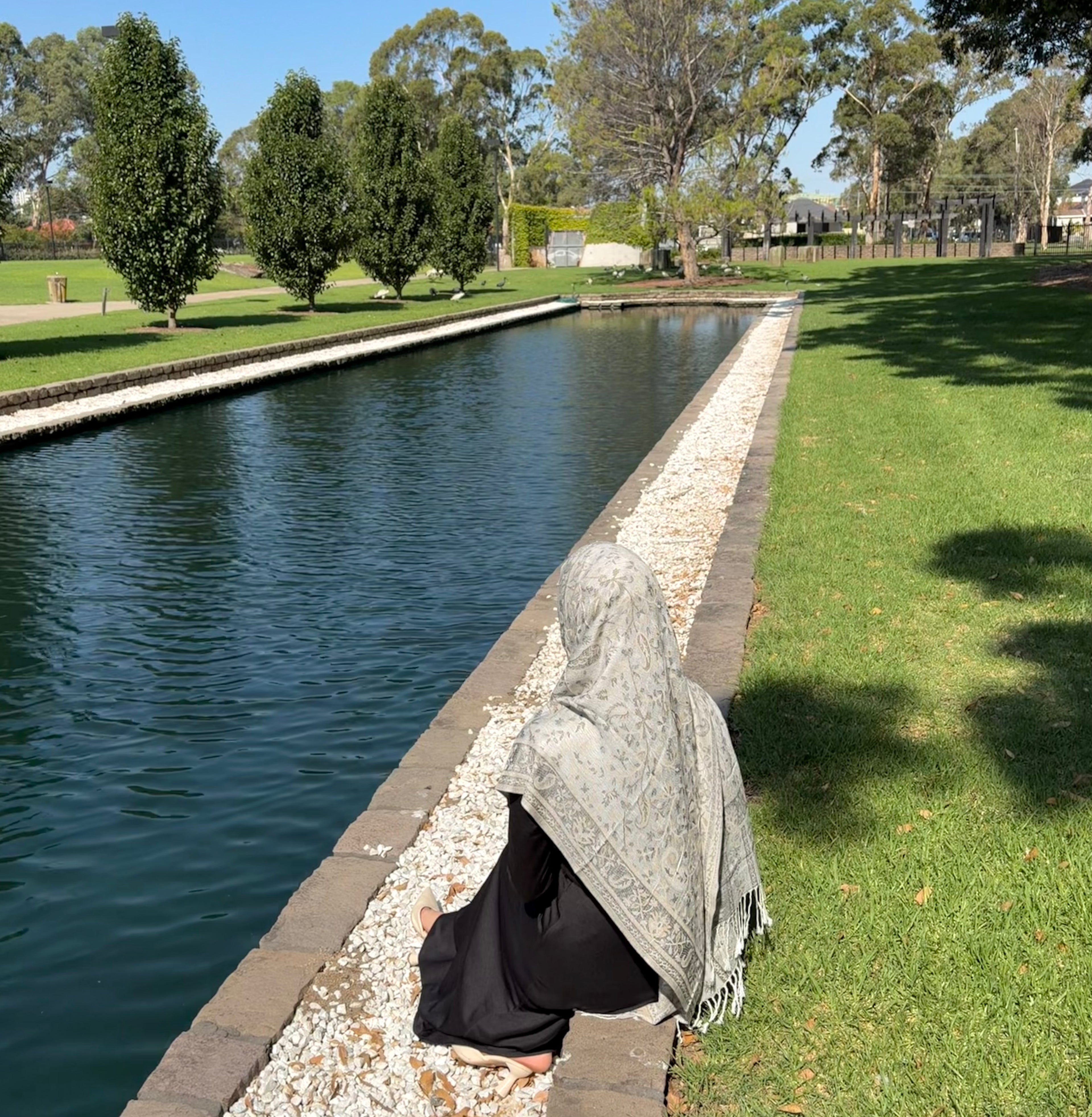 Grey Camel Pashmina